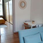 Rent 1 bedroom apartment of 45 m² in Ixelles
