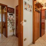 Rent 5 bedroom apartment of 112 m² in Cervia