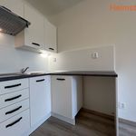 Rent 1 bedroom apartment of 24 m² in Havířov