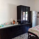 Rent 2 bedroom apartment of 45 m² in Grugliasco