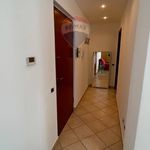 Rent 1 bedroom apartment of 45 m² in Rovello Porro