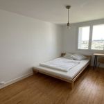  appartement avec 1 chambre(s) en location à Brest