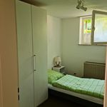 Rent 2 bedroom apartment of 41 m² in München