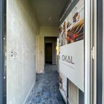 Rent 4 bedroom house of 140 m² in Zschepplin