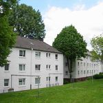 Rent 2 bedroom apartment of 45 m² in Iserlohn