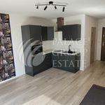 Wynajmij 1 sypialnię apartament z 30 m² w Kraków