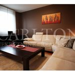 Rent 3 bedroom apartment of 95 m² in Zagreb