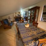 Rent 3 bedroom house of 80 m² in Cervaro