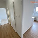 Rent 2 bedroom apartment of 49 m² in Havířov