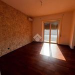 Rent 4 bedroom apartment of 110 m² in Colleferro