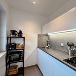 Rent 1 bedroom apartment of 32 m² in Nuremberg