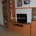 Rent 2 bedroom apartment of 55 m² in Lloret de Mar