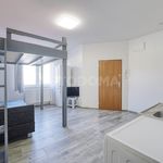 Rent 1 bedroom house of 77 m² in Líně
