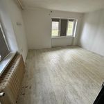 Rent 1 bedroom apartment of 31 m² in Mezibori