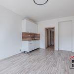 Rent 1 bedroom apartment of 25 m² in Havířov
