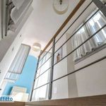 Affitto 6 camera appartamento di 115 m² in Bologna