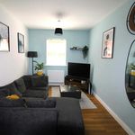 Rent 1 bedroom apartment in Ipswich