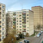 Rent 2 bedroom apartment of 42 m² in Děčín