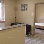 Rent 2 bedroom apartment of 38 m² in Pécs
