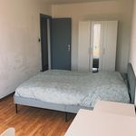Rent 3 bedroom apartment of 65 m² in Schiltigheim
