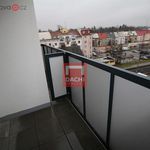 Rent 1 bedroom apartment of 33 m² in Olomouc