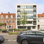 Rent 2 bedroom apartment of 90 m² in Kortrijk