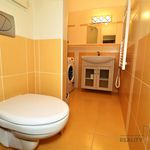 Rent 1 bedroom apartment of 36 m² in Tišnov