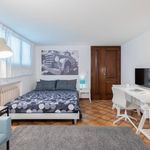 Affitto 1 camera appartamento di 30 m² in Padova