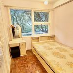 Rent 1 bedroom house of 32 m² in Ham tin