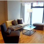 Rent 3 bedroom apartment of 100 m² in Wroclaw