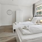 Miete 1 Schlafzimmer wohnung von 30 m² in Flörsheim am Main