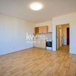 Rent 1 bedroom apartment of 32 m² in Praha