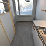 Vuokraa 1 makuuhuoneen asunto, 30 m² paikassa Jyväskylä