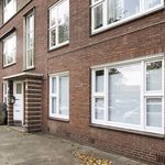 Rent 2 bedroom apartment of 65 m² in Haarlem