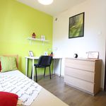 Rent 6 bedroom apartment in Łódź