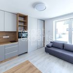 Rent 1 bedroom apartment of 28 m² in Jáchymov