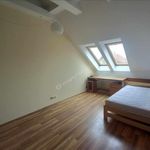 Rent 4 bedroom house of 201 m² in Kobierzyce