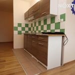 Rent 4 bedroom apartment of 67 m² in Horní Slavkov