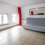 Huur 1 slaapkamer appartement van 40 m² in Liège