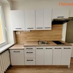 Rent 1 bedroom apartment of 29 m² in Havířov