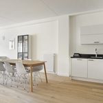 Rent 2 bedroom apartment of 105 m² in 's-Gravenhage