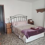 Rent 4 bedroom apartment in Palma de Mallorca