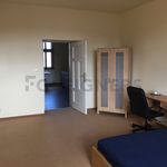 Rent 2 bedroom apartment of 95 m² in Plzeň