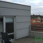 Rent 3 bedroom apartment of 93 m² in Brno