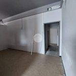 Rent 1 bedroom apartment of 125 m² in San Giorgio Bigarello