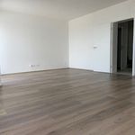Rent 3 bedroom apartment of 102 m² in Milovice