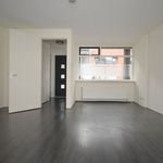 Rent 2 bedroom apartment of 42 m² in Groningen