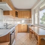 Rent 5 bedroom house of 160 m² in Szczecin