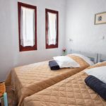 Rent 1 bedroom apartment of 27 m² in Ferma