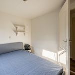Rent 3 bedroom house of 40 m² in Cothen